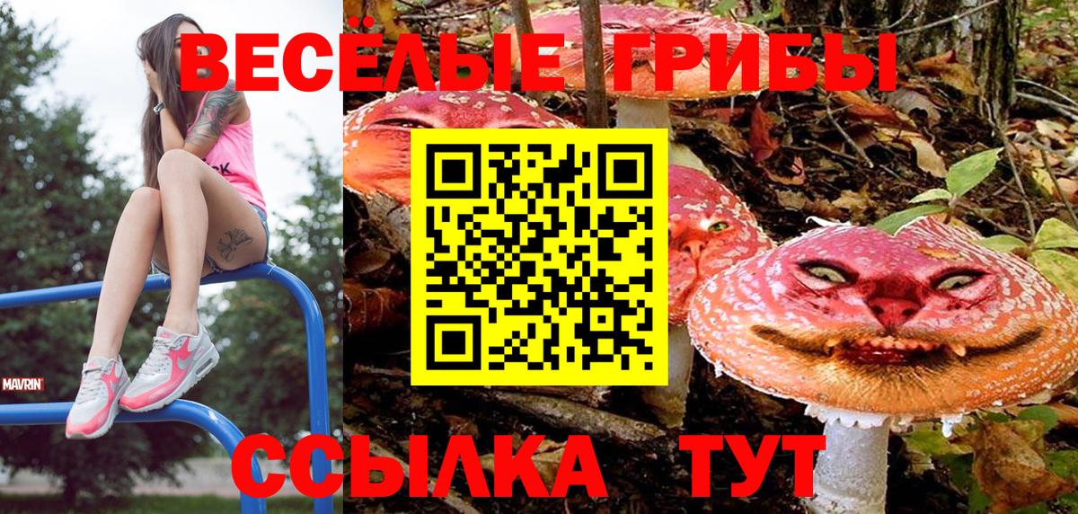 Галлюциногенные грибы прущие грибы  Вход с VPN  Галлюциногенные грибы ЛСД  Грозный 